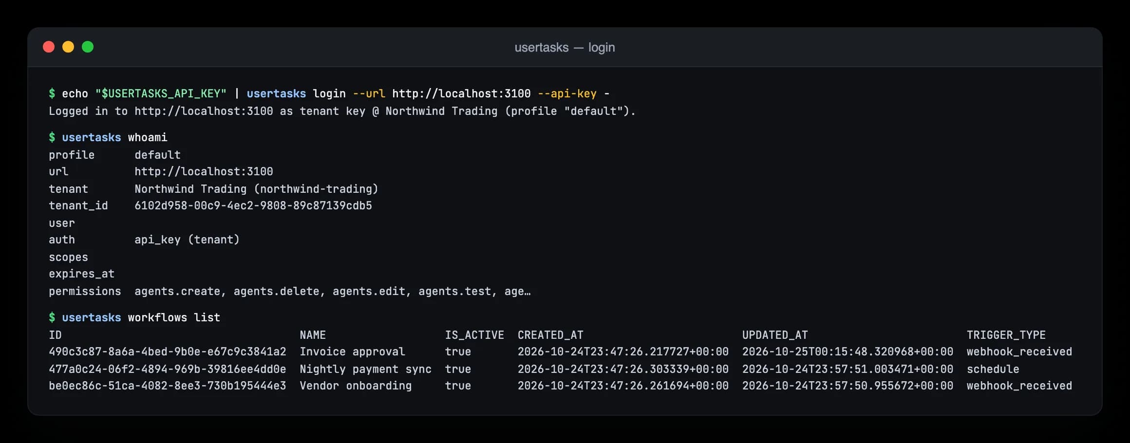 Terminal: logging in with an API key, whoami and listing workflows